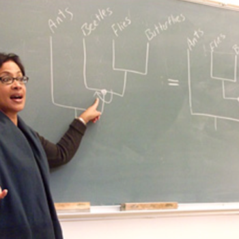 Dr. Lisa White teaching